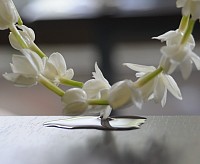 Une chance de pratiquer en conditions réelles avec un superviseur