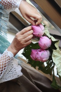 Les images et les sons de la Thaïlande